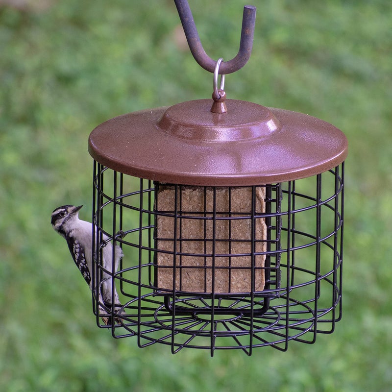 More Birds مغذي الطيور من مور بيردز - قفص مزدوج - Image 3